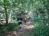 IMG_0224.jpg IMG_0224.jpg